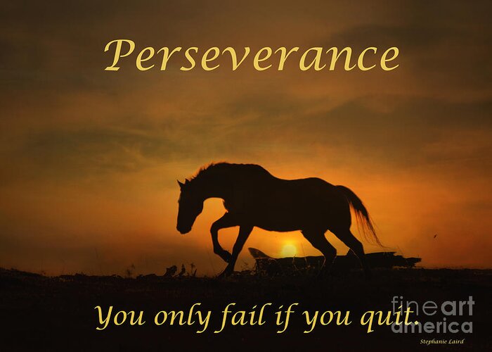 Motivational Greeting Card featuring the photograph Perseverance Motivational Horse in the Sunset by Stephanie Laird
