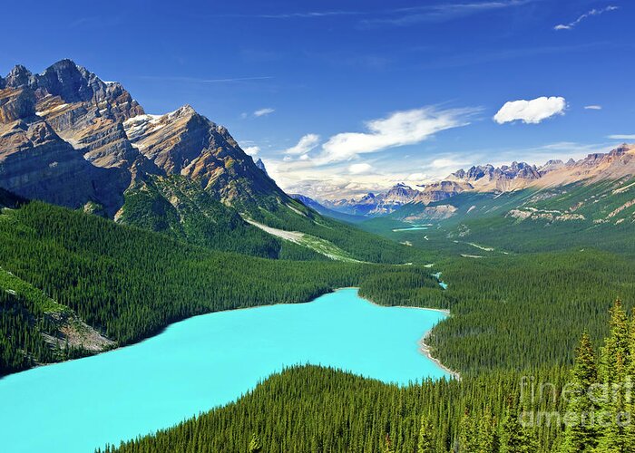 Canada Greeting Card featuring the photograph Peyto Lake - Canada by Henk Meijer Photography