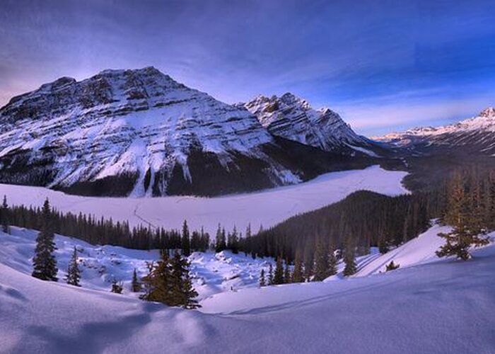 Peyto Lake Greeting Card featuring the photograph Peyto Lake Lookout Panorama by Adam Jewell