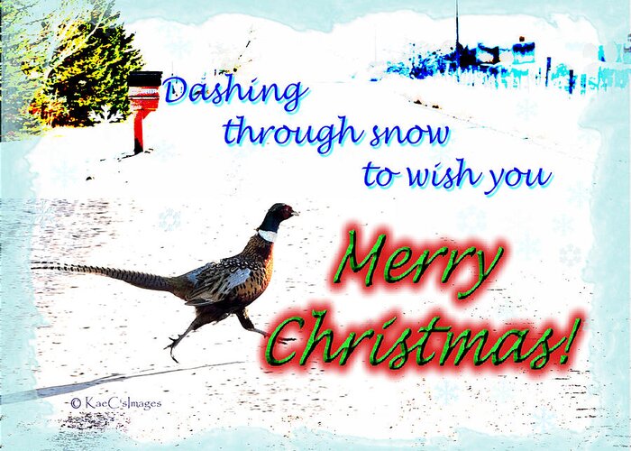 Greeting Card Greeting Card featuring the digital art Pheasant Greeting by Kae Cheatham