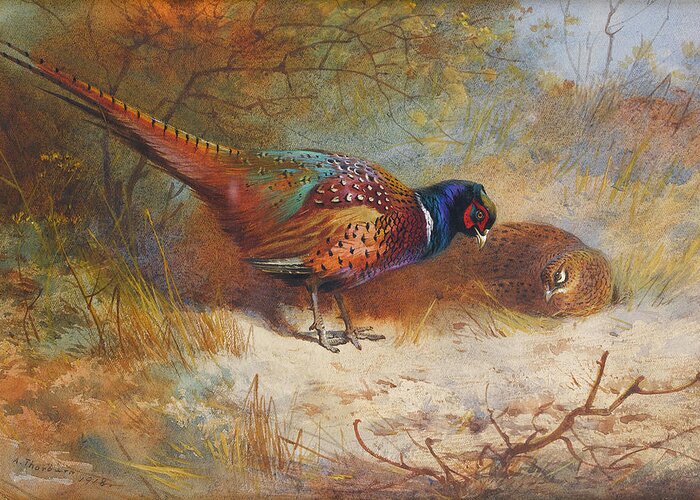 Pheasants Greeting Card featuring the mixed media Pheasants by Thorburn by Movie Poster Prints