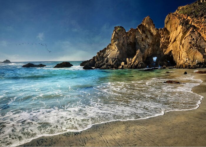 Jennifer Rondinelli Reilly Greeting Card featuring the photograph Pheiffer Beach #9- Big Sur California by Jennifer Rondinelli Reilly - Fine Art Photography
