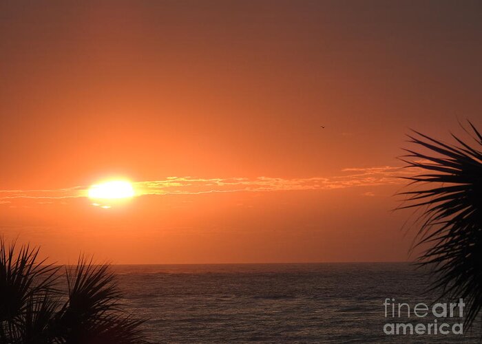 Sunrise Greeting Card featuring the photograph Phenomenal Sunrise by Jan Gelders