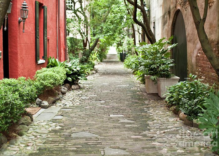 Philadelphia Alley Greeting Card featuring the photograph Philadelphia Alley Charleston Pathway by Dustin K Ryan