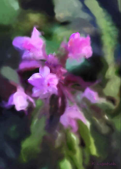 Orchid Greeting Card featuring the photograph Philippine Orchid Abstact by Kerri Ligatich