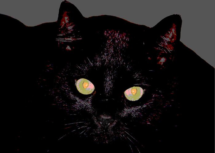 Black Cat Greeting Card featuring the photograph Phoebe 2 by Jean Evans