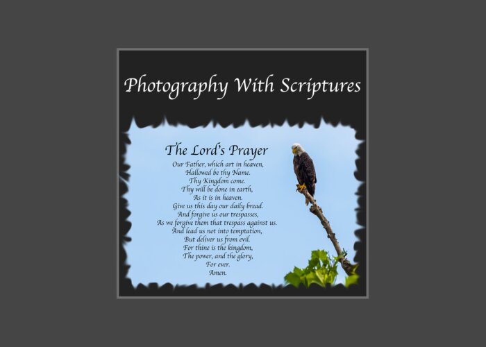 Scripture Greeting Card featuring the photograph Photography with Scriptures by Holden The Moment