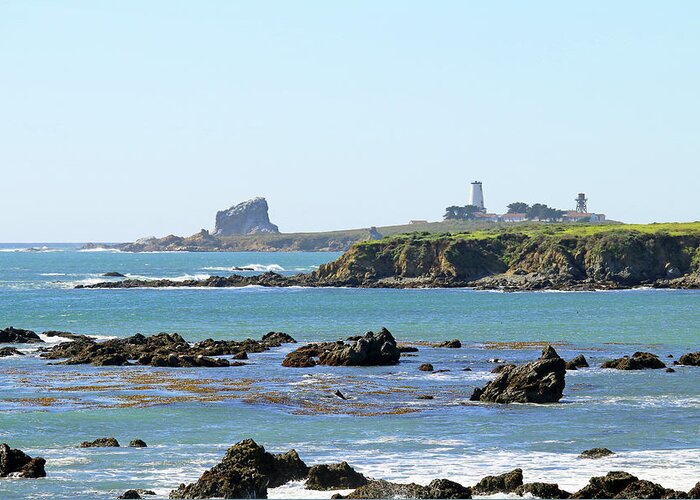 Lighthouses Greeting Card featuring the photograph Piedras Blancas Lighthouse by Art Block Collections