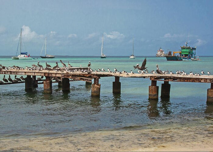 2016 Greeting Card featuring the photograph Pier for birds by Jean-Luc Baron