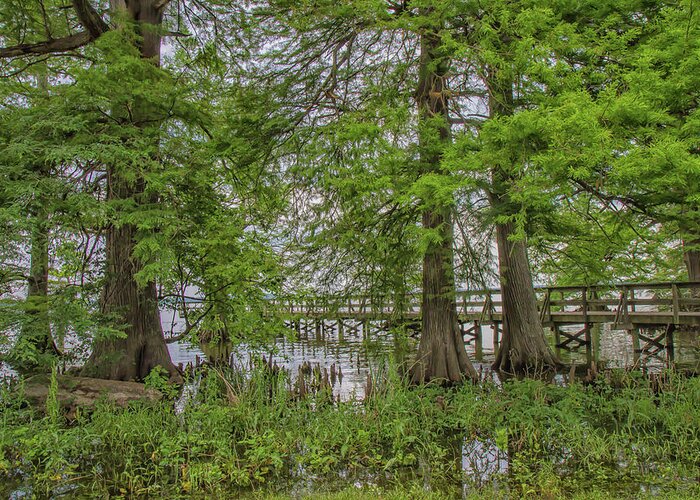 Reelfoot Lake Greeting Card featuring the photograph Pier on Reelfoot Lake by Robert Hebert