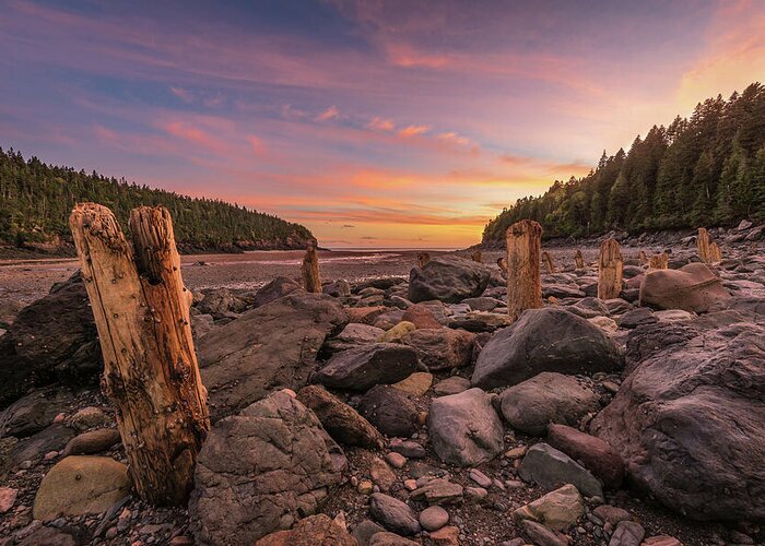 Bay Of Fundy Greeting Card featuring the photograph Pilings at Point Wolfe by Tracy Munson