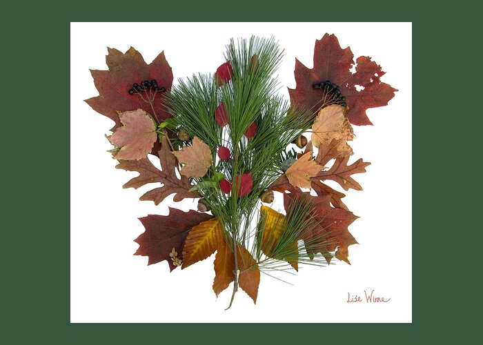 Lise Winne Greeting Card featuring the digital art Pine and Leaf Bouquet by Lise Winne
