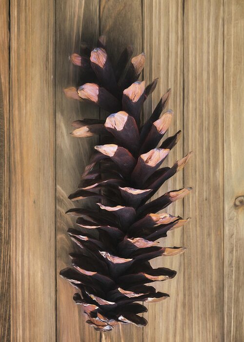 Pine Cone Greeting Card featuring the photograph Pine Cone I by Tom Mc Nemar