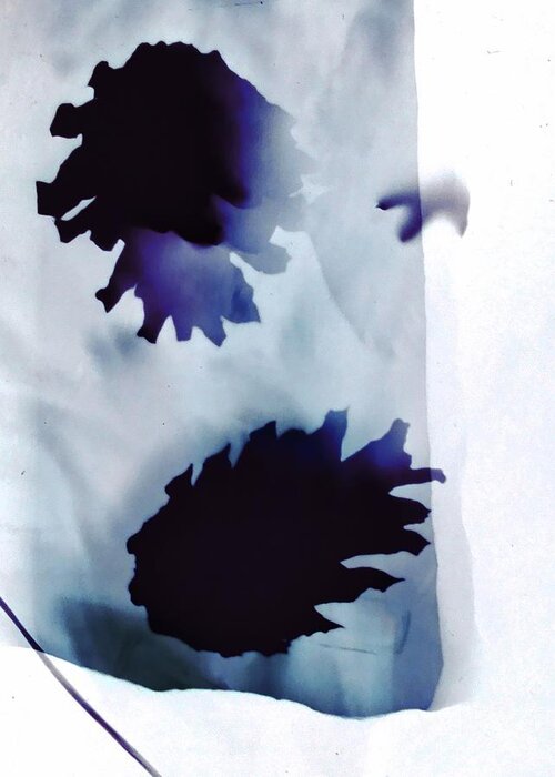 Photogram Greeting Card featuring the photograph Pine cones blue and white by Itsonlythemoon