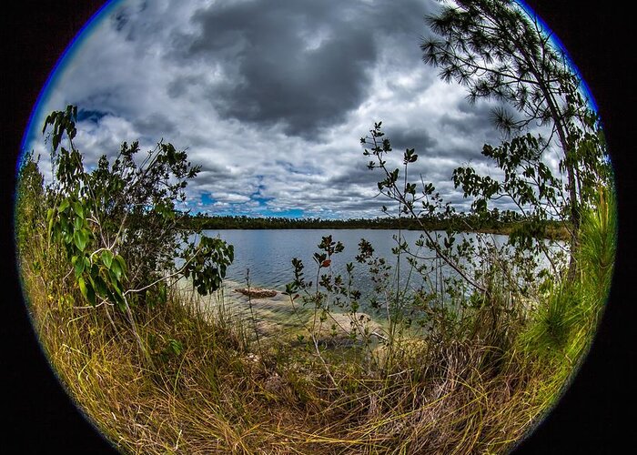Fisheye Greeting Card featuring the photograph Pine Glades Lake 18 by Michael Fryd