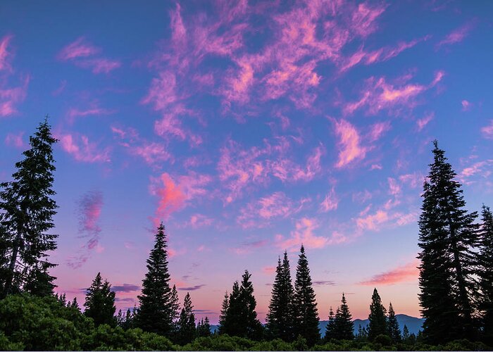 California Greeting Card featuring the photograph Pink Cloud Sunset Mount Shasta California by Lawrence S Richardson Jr