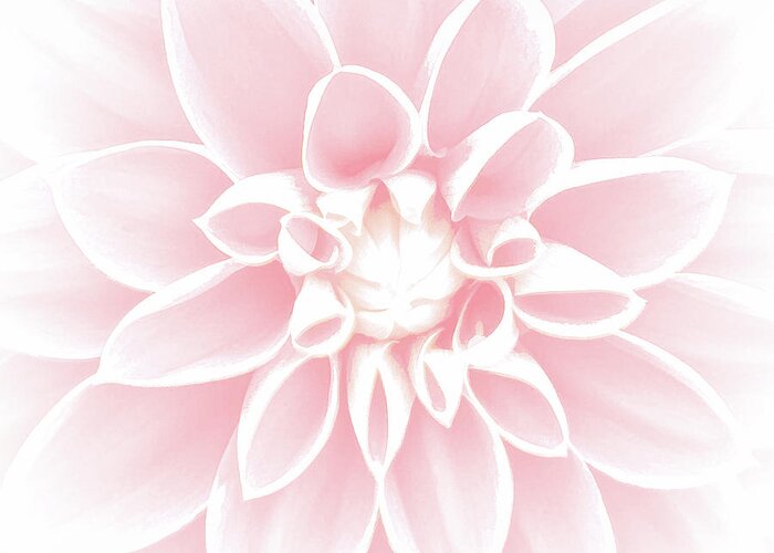 Flowers Greeting Card featuring the photograph Pink Dahlia by Susan Eileen Evans