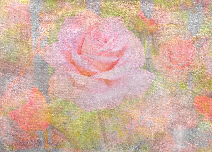 Rose Greeting Card featuring the photograph Pink Delicacy by Marina Kojukhova