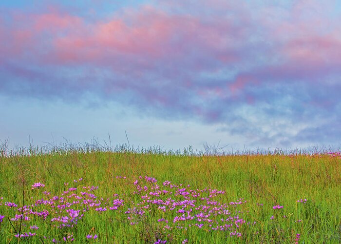 Andscape Greeting Card featuring the photograph Pink Over Pink by Marc Crumpler