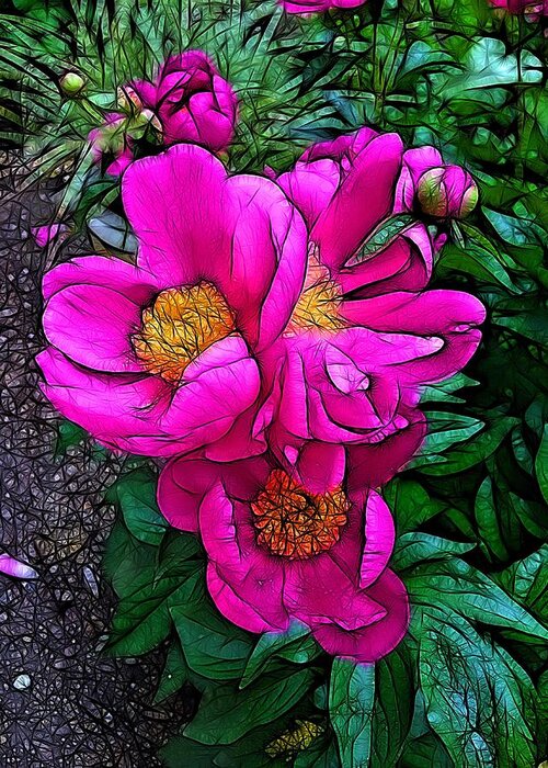 Peoney Greeting Card featuring the photograph Pink Peonies by Nick Heap