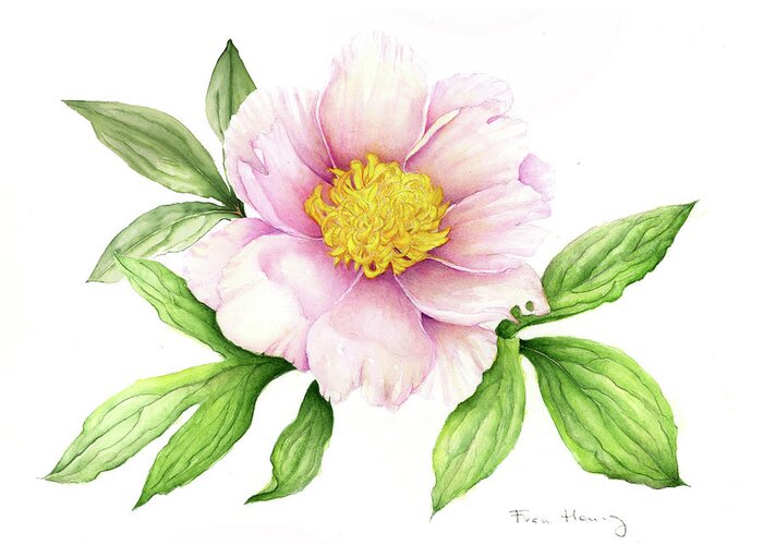 Botanical Greeting Card featuring the painting Pink peony - 2011 by Fran Henig