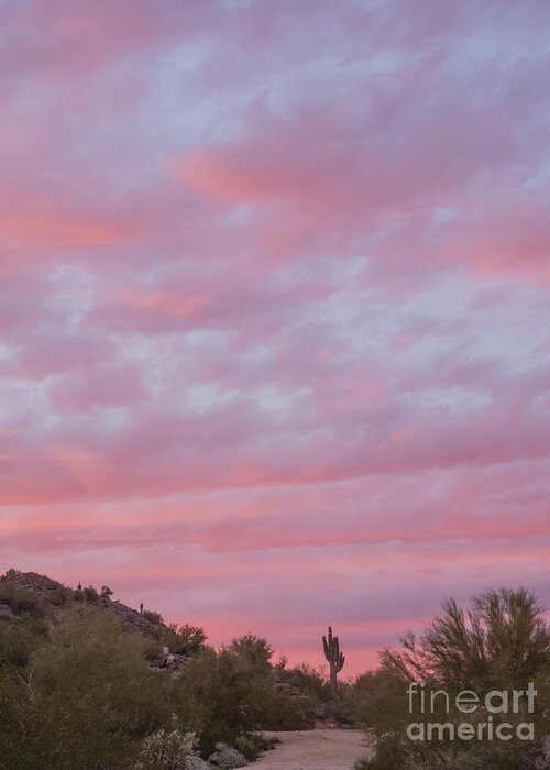 Sunset Greeting Card featuring the photograph Pink Sky Desert Sunset by Tamara Becker