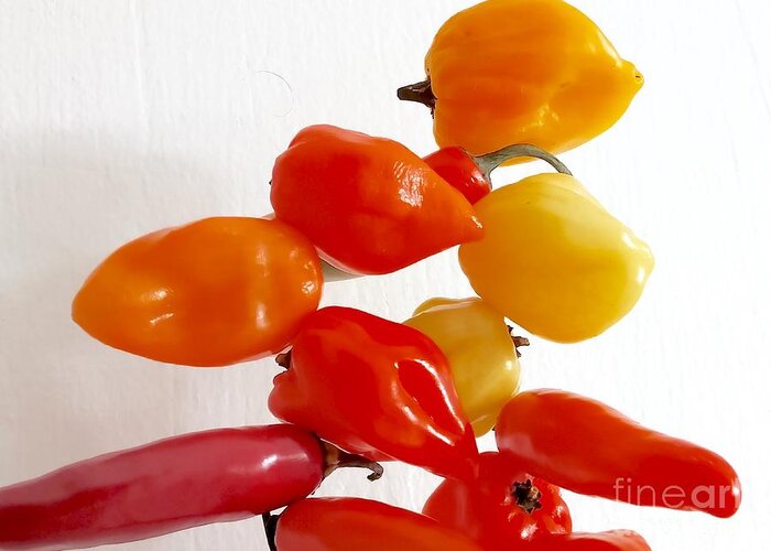 Hot Peppers Greeting Card featuring the photograph Piquant Play 2 by Mioara Andritoiu