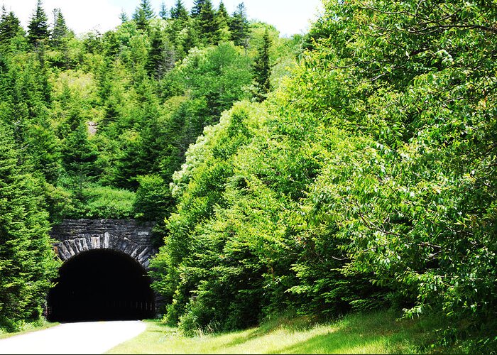 North Carolina Parkway Greeting Card featuring the photograph Pisgah Tunnel by Patricia Motley