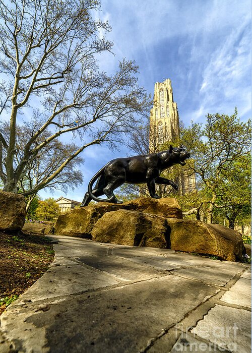 Cathedral Of Learning Greeting Card featuring the photograph Pitt Panther Cathedral of Learning by Thomas R Fletcher