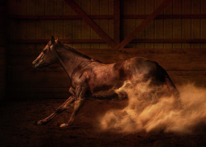 Horse Greeting Card featuring the photograph Playing Dirty by Ryan Courson