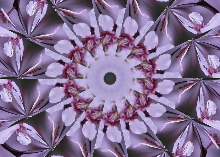 Plum Tree Greeting Card featuring the photograph Plum Tree Kaleidoscope by Bill Barber