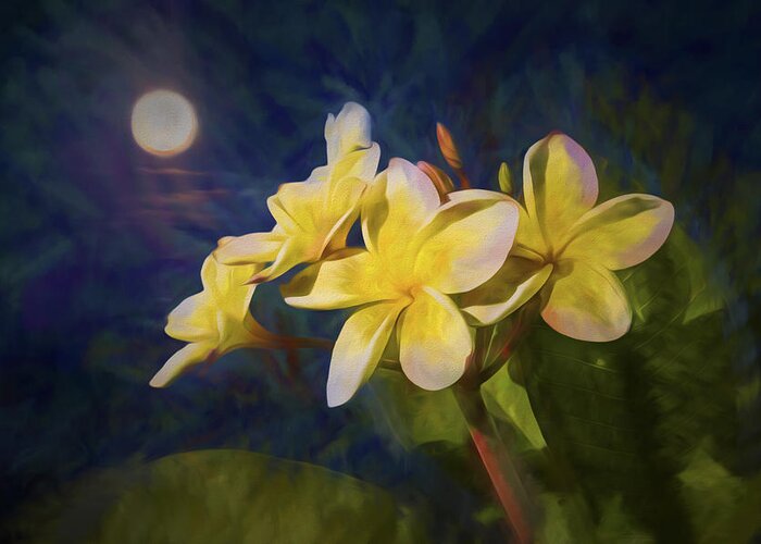 Flower Greeting Card featuring the photograph Plumera by the Moon by Bruce Bottomley