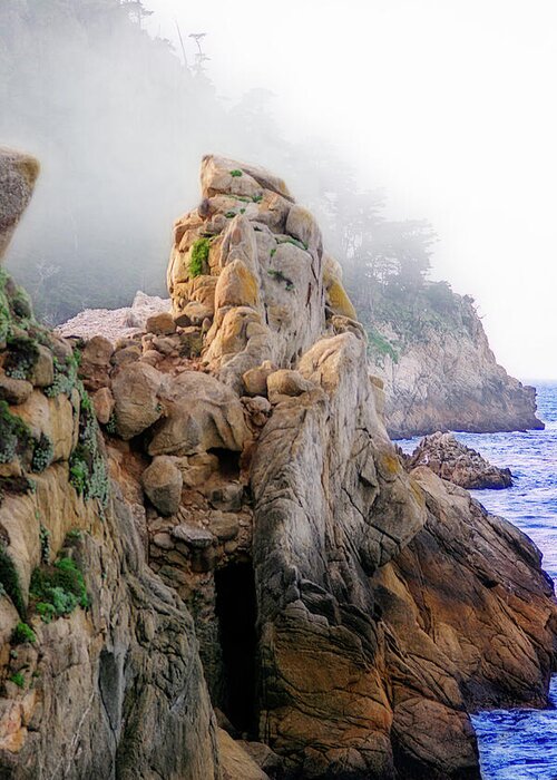 Photography Greeting Card featuring the photograph Point Lobos in Fog by Terry Davis