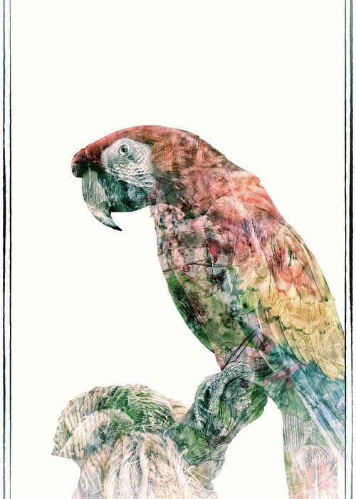 Macaw Greeting Card featuring the mixed media Polly Got a Cracker by Pamela Williams
