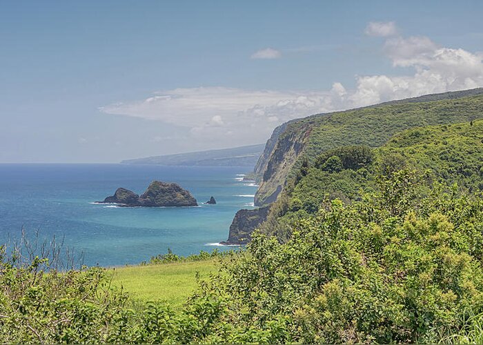 Hawaii Greeting Card featuring the photograph Pololu Valley by Susan Rissi Tregoning