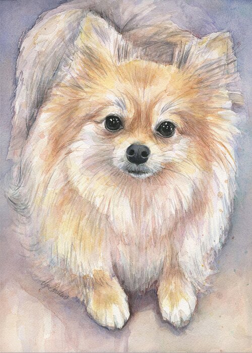 Pomeranian Greeting Card featuring the painting Pomeranian Watercolor by Olga Shvartsur