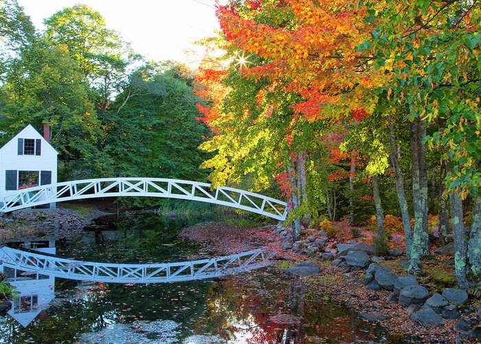 Reflection Greeting Card featuring the photograph Pond Bridge Reflection by Nancy Dunivin