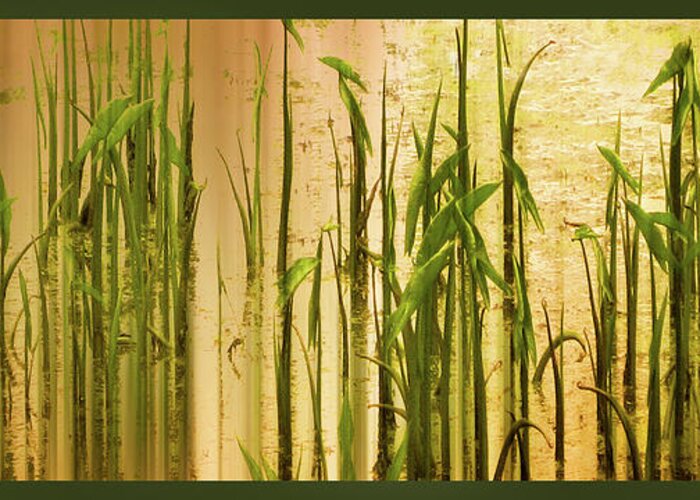 Grass Greeting Card featuring the photograph Pond Grass Abstract Panel by Jessica Jenney