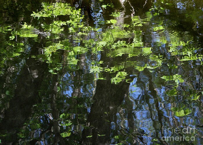 Horizontal Greeting Card featuring the photograph Pond Reflection 1 by Janeen Wassink Searles