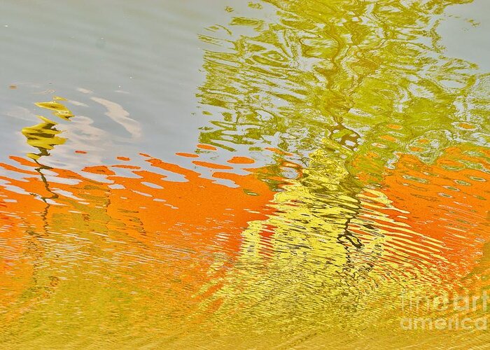 Reflections Greeting Card featuring the photograph Pond Reflection by Merle Grenz