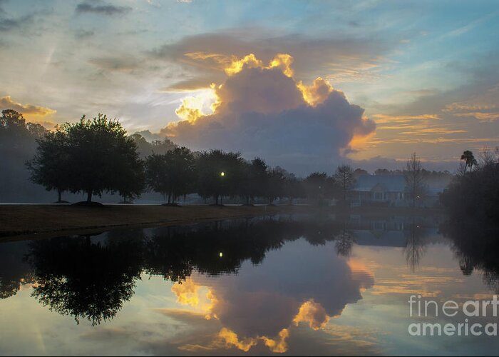 Fog Greeting Card featuring the photograph Pond Reflections in the Fog by Dale Powell