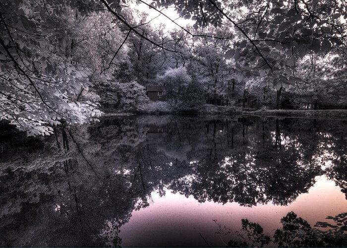 Pond Side Dusk Greeting Card featuring the photograph Pondside Dusk by William Fields