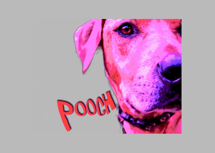 Pooch Greeting Card featuring the photograph Pooch by Mim White