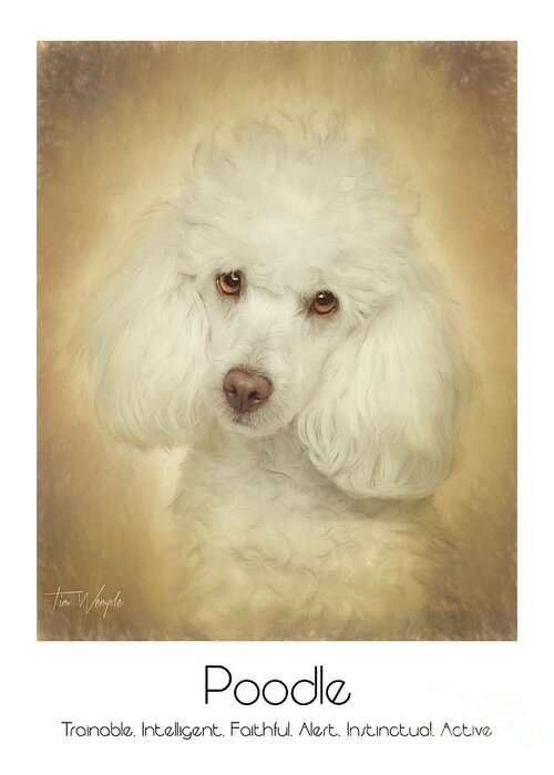 Poodle Greeting Card featuring the digital art Poodle Poster by Tim Wemple