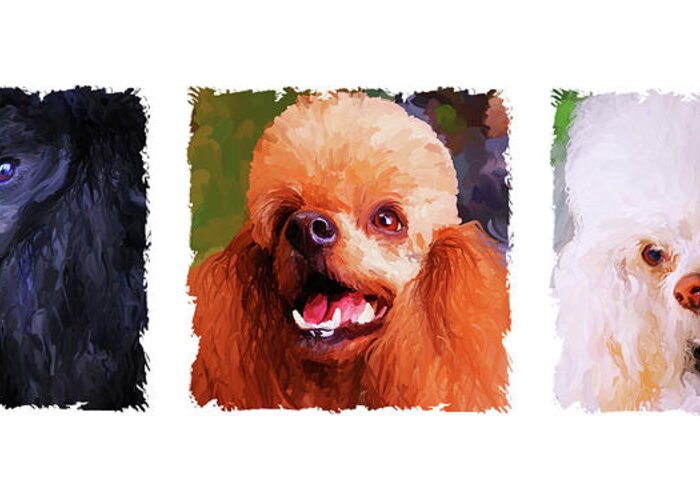 Poodle Greeting Card featuring the painting Poodle Trio by Jai Johnson