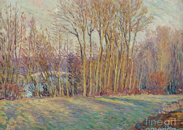 Henri Lebasque Greeting Card featuring the painting Poplars in Autumn near Chalifert by MotionAge Designs