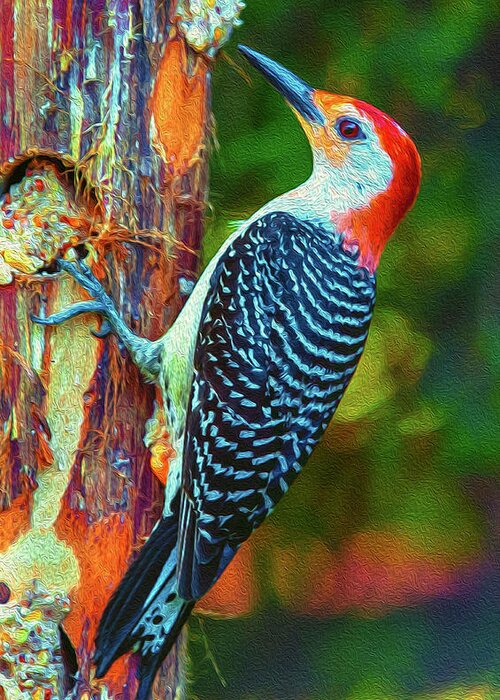 Alexandria Greeting Card featuring the photograph Popping Color Woodpecker by Jim Moore