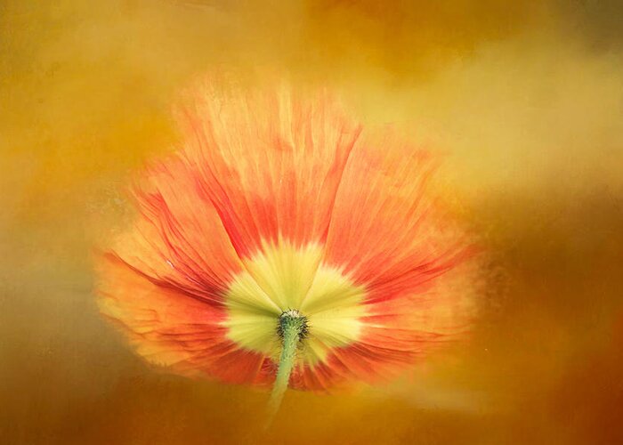 Poppy Greeting Card featuring the digital art Poppy on Fire by Terry Davis