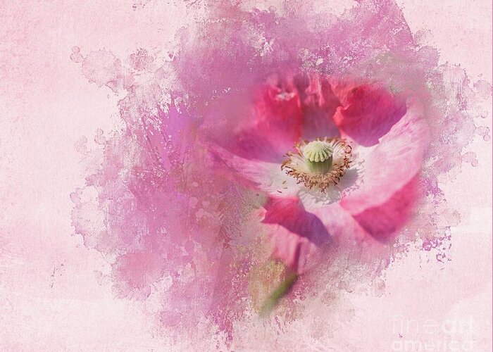 Poppy Greeting Card featuring the photograph Poppy Trail in My Dream by Eva Lechner