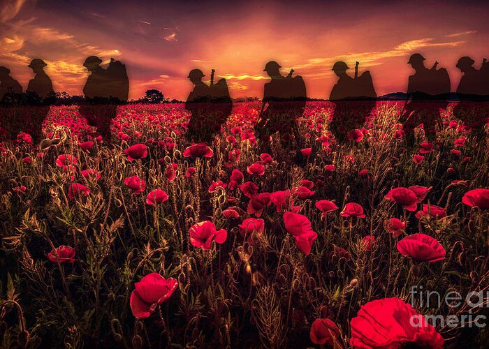 Soldier Greeting Card featuring the digital art Poppy Walk by Airpower Art